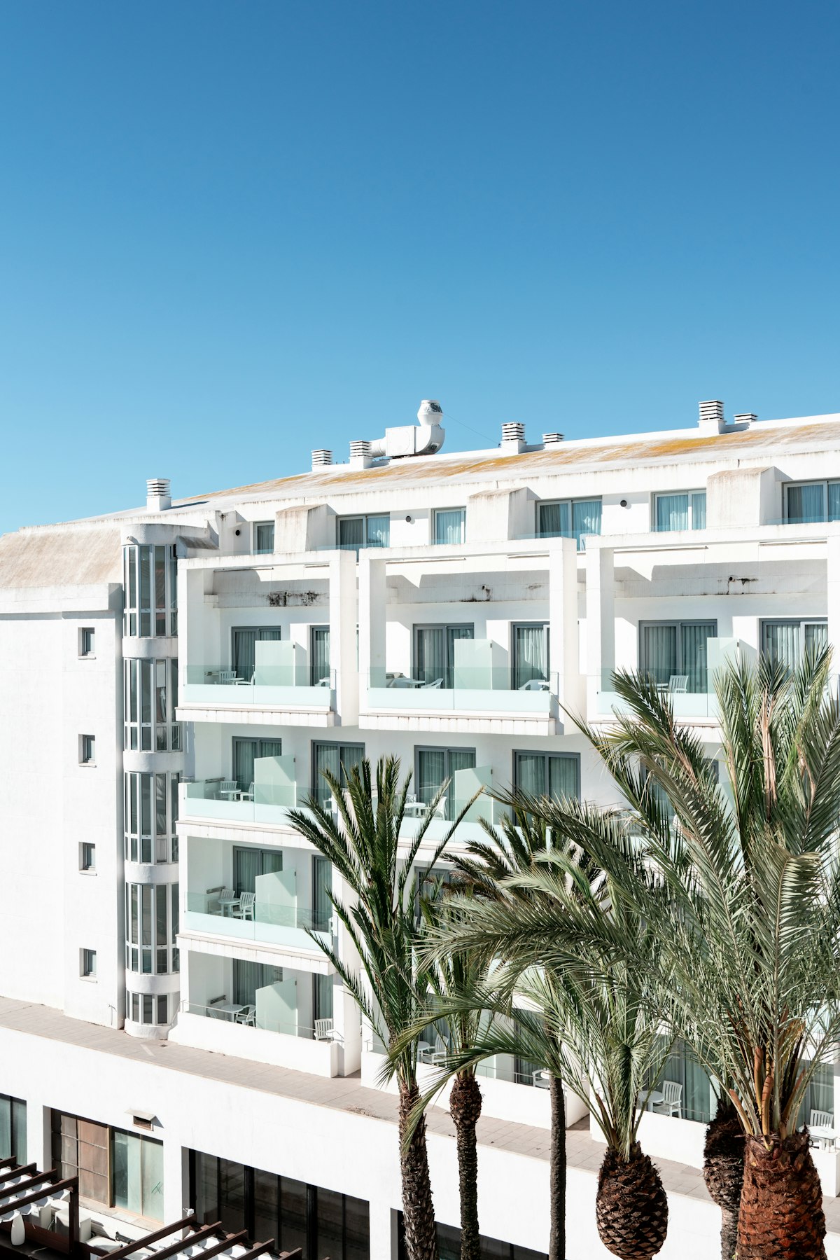 Palmiyeler ve otel balkonları